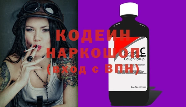 индика Ессентукская