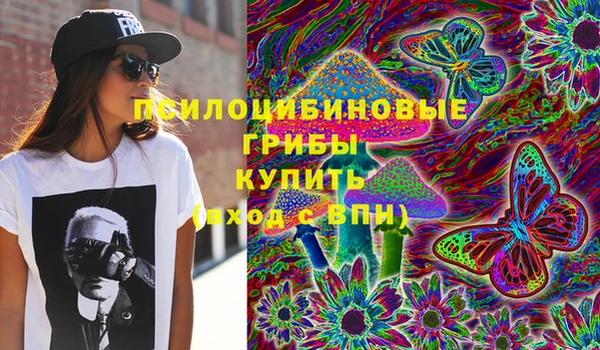 а пвп мука Кукмор