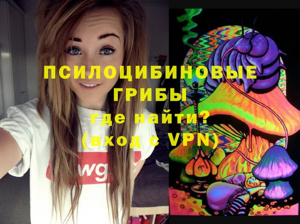 а пвп мука Кукмор
