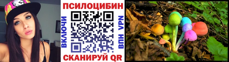 Псилоцибиновые грибы Psilocybe  Ессентуки 