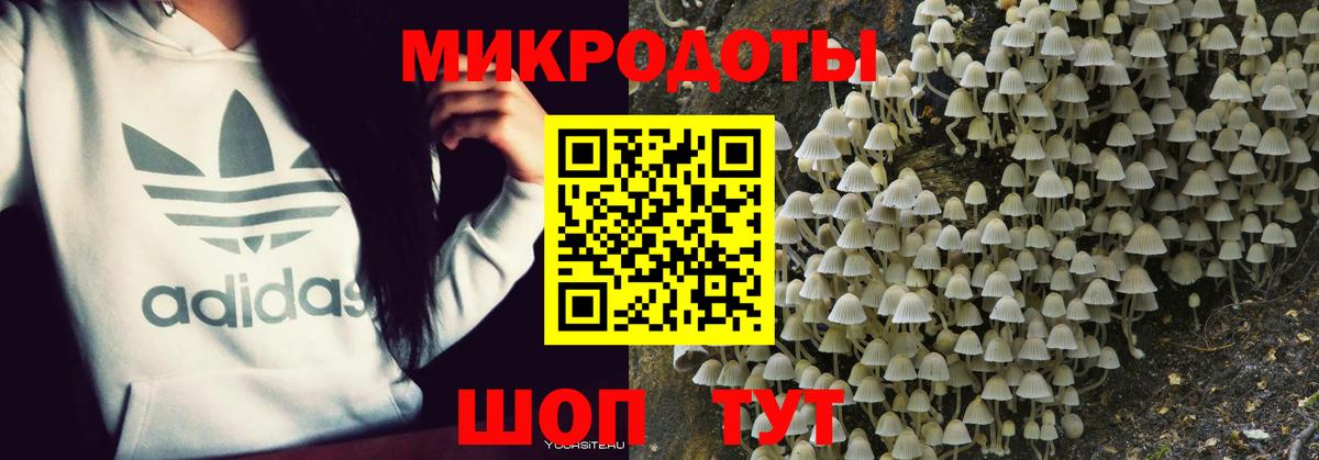 Псилоцибиновые грибы Cubensis Ессентуки