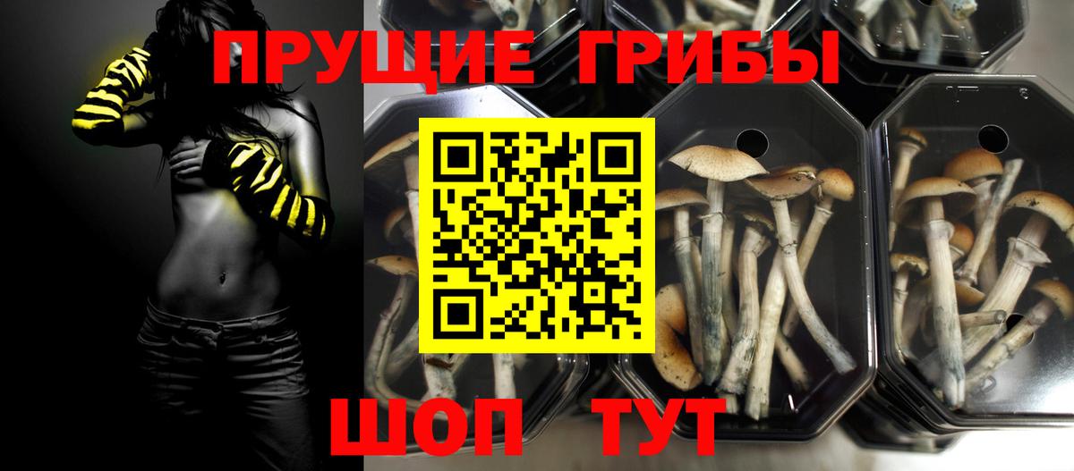 МДМА Ессентуки