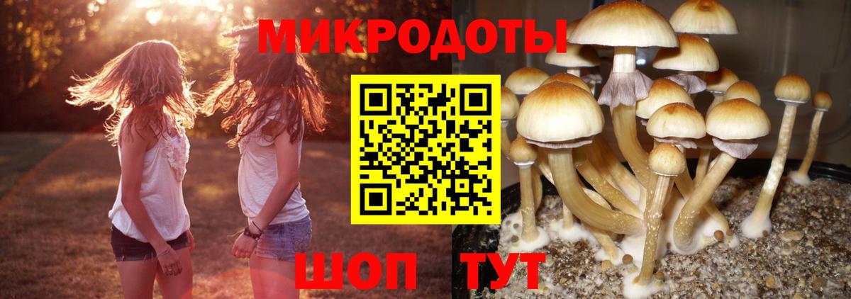 Псилоцибиновые грибы ЛСД  Ессентуки  Галлюциногенные грибы MAGIC MUSHROOMS 
