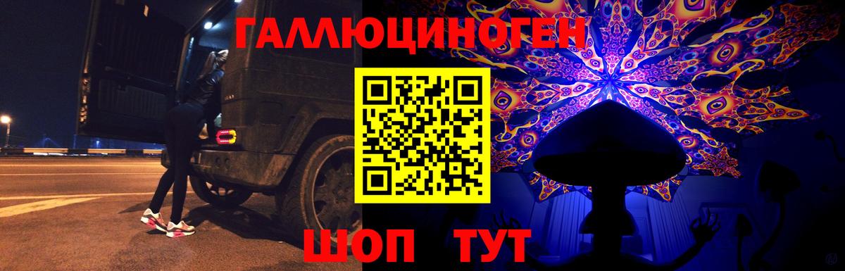 Галлюциногенные грибы прущие грибы Ессентуки