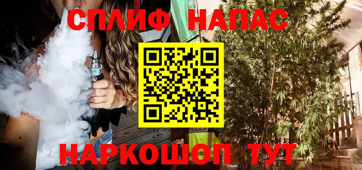 Шишки марихуана тримм Ессентуки